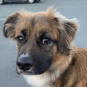 Meet your Posher, Kari